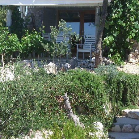 Stone House Marina-Sevid, 1 House-1 Apartment Dış mekan fotoğraf