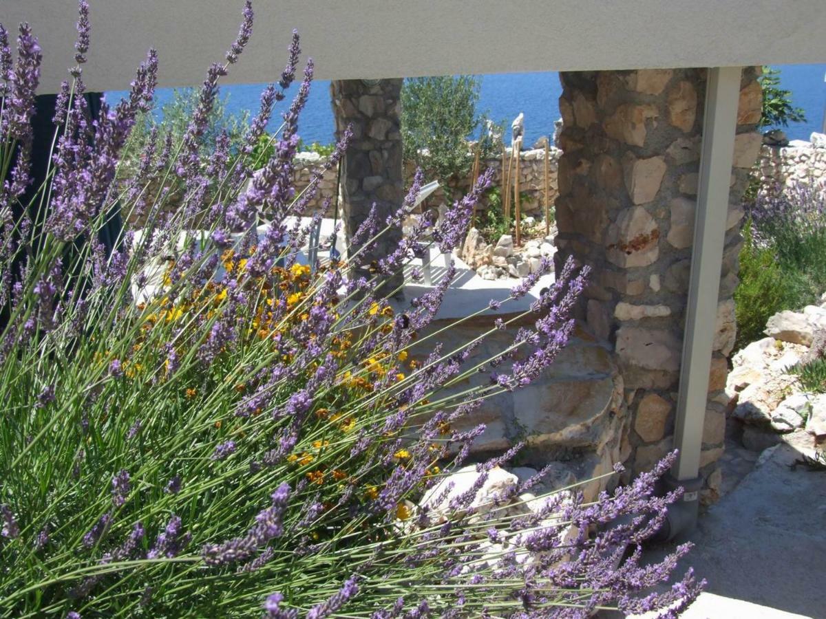 Stone House Marina-Sevid, 1 House-1 Apartment Dış mekan fotoğraf