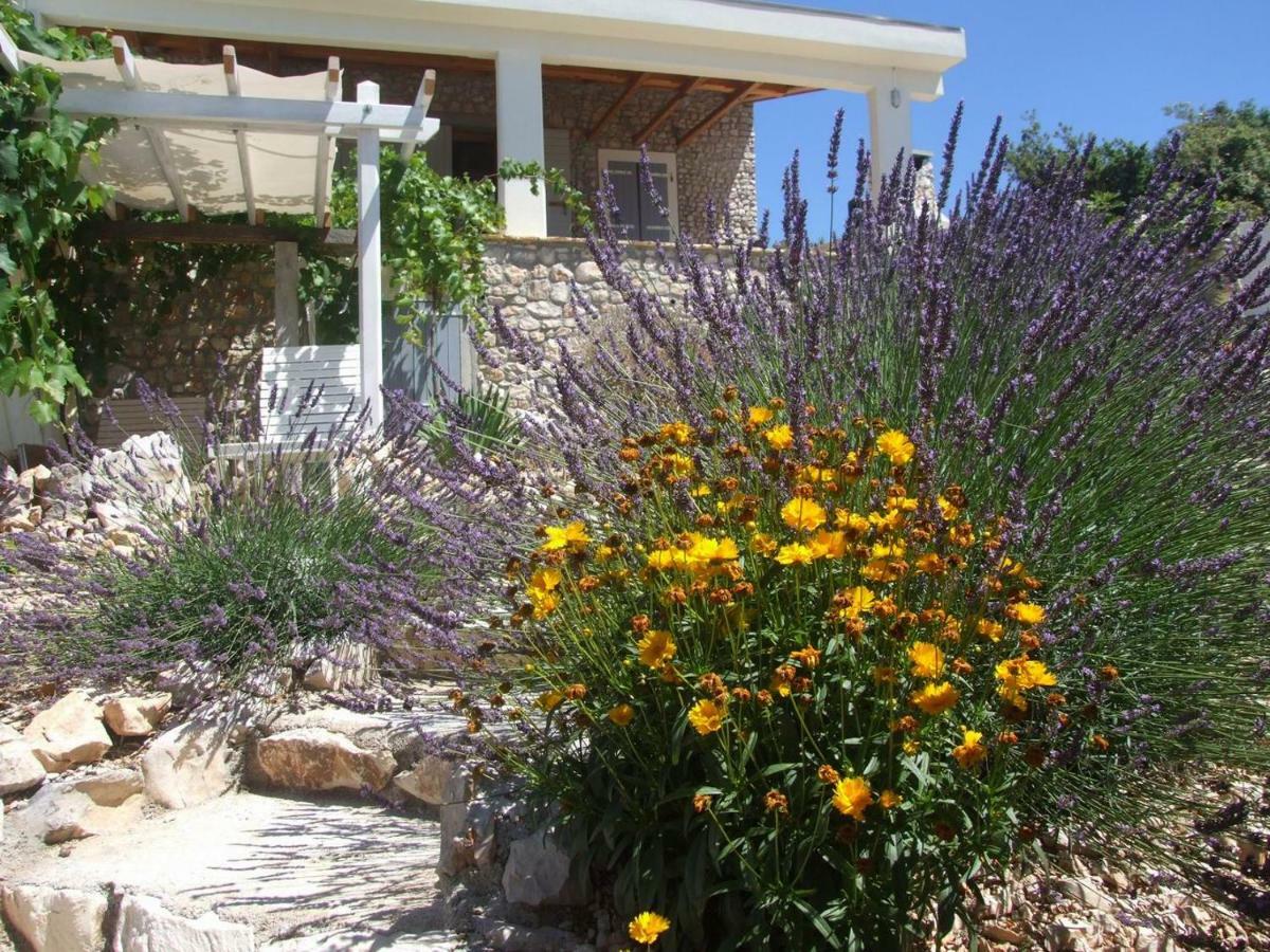 Stone House Marina-Sevid, 1 House-1 Apartment Dış mekan fotoğraf